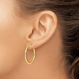 Classic Hoop Earrings - 10K Yellow Gold