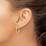 Classic Hoop Earrings - 10K Yellow Gold