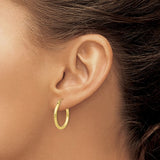 Classic Hoop Earrings - 10K Yellow Gold