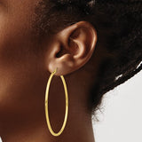 Classic Hoop Earrings - 10K Yellow Gold